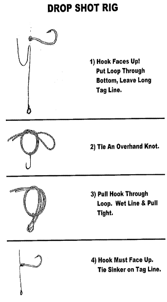 Light Wire Hooks For Dropshot - Fishing Tackle - Bass Fishing Forums