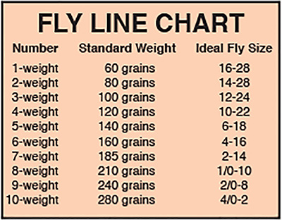 Dry Fly Size Chart