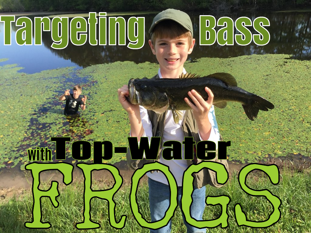 Targeting Bass with Top-Water Frogs